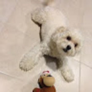 Meet your Posher, Martha